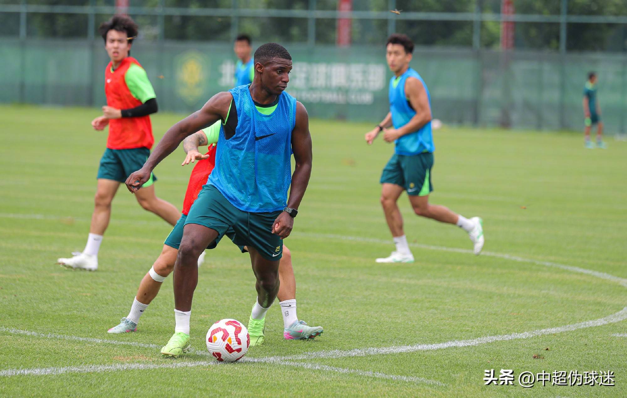 展现出极高 展现出极高