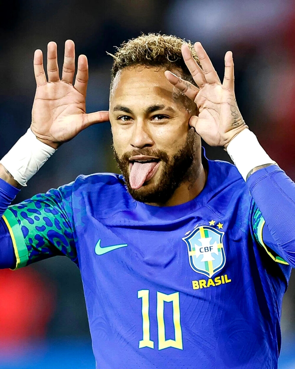 莱万多夫斯 莱万多夫斯