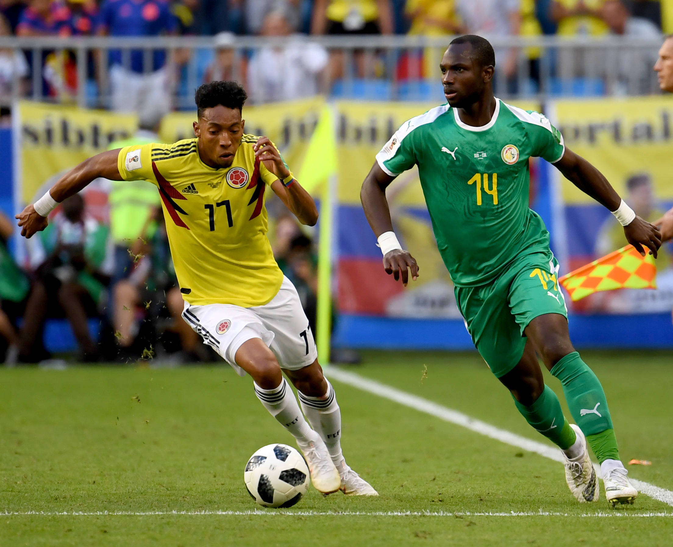 奥运赛场的 奥运赛场的