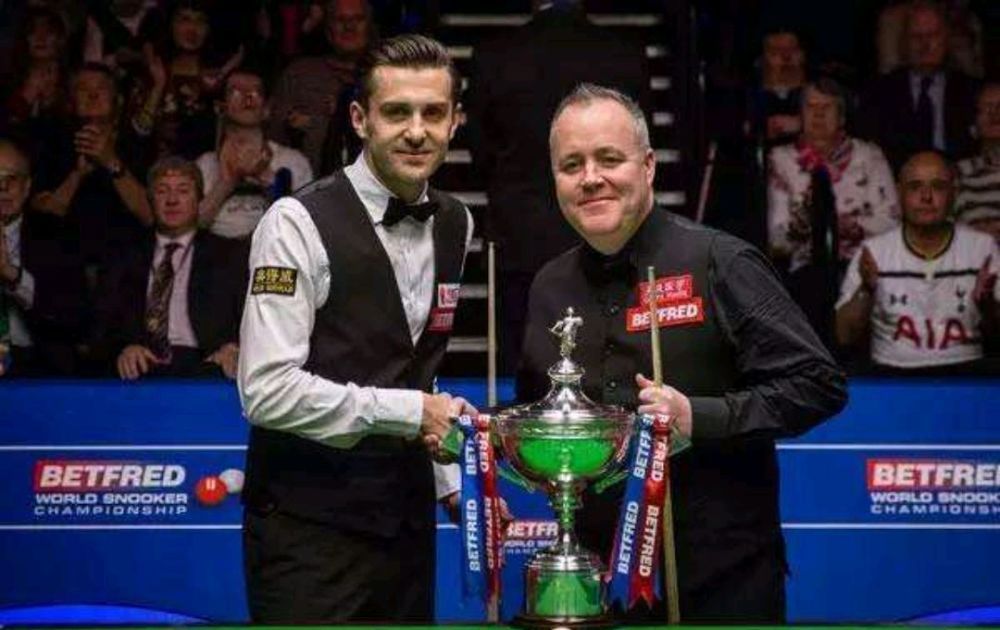 纵观比赛 纵观比赛