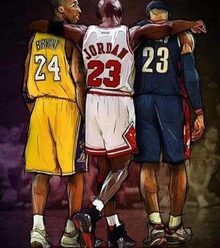 手的体系完 手的体系完