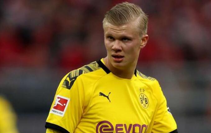 案例分析 案例分析